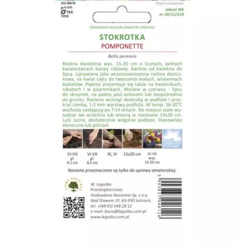 Stokrotka pospolita 'Pomponette' różowa W.Legutko