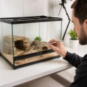 Aventerra Sweden CLAWEY POINT 20cm - pęseta stalowa prosta Aventerra