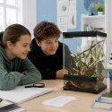 Aventerra Sweden VETRANO 20x20x30 - terrarium szklane Aventerra