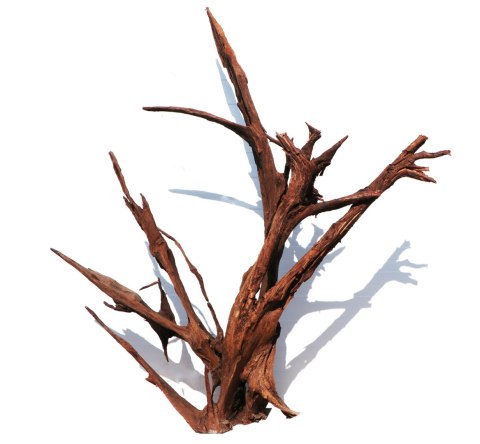 Malaysian Driftwood Giant XXXL - korzeń 150cm
