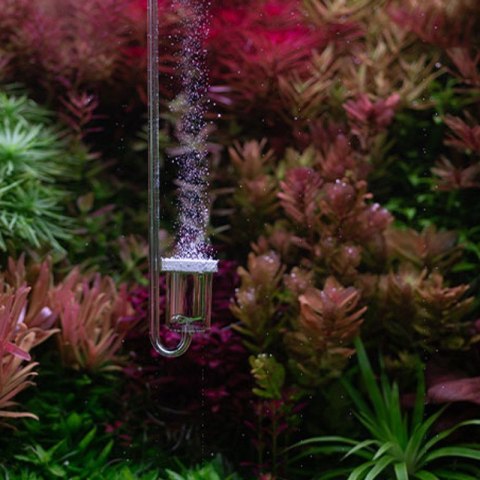 Neo Diffuser Original Extend L white - dyfuzor CO2 25mm do akwarium