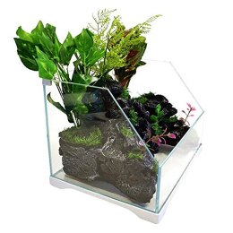 SunSun Aqua Paludarium 30 l - zestaw paludarium SunSun