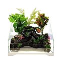 SunSun Aqua Paludarium 30 l - zestaw paludarium SunSun