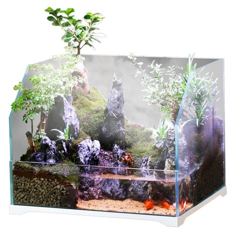 SunSun Aqua Paludarium 30 l - zestaw paludarium SunSun