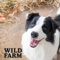 WILD FARM Miękkie Stripsy Z Kaczki Przysmak Dla Psa 500G Wild Farm