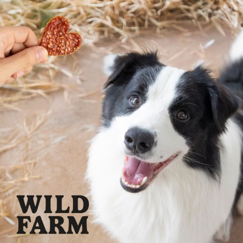 WILD FARM Serduszka Z Kaczką I Ryżem Przysmak Dla Psa 500G Wild Farm