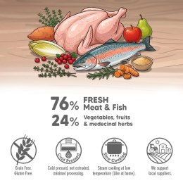 ARQUIVET FRESH półwilgotny przysmak dla szczeniąt z indykiem 800g Arquivet Fresh