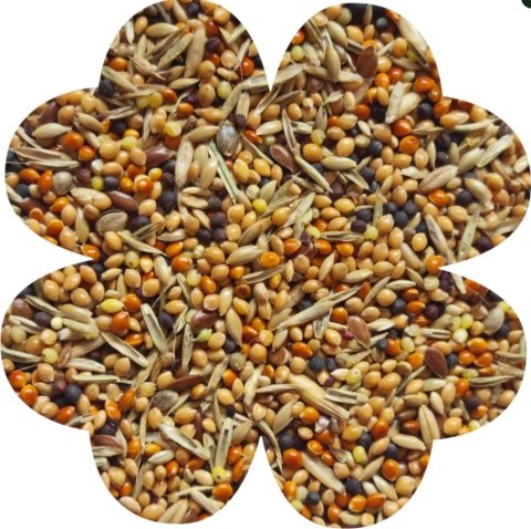 Alegia Enjoy pokarm dla zeberek i papużek egzotycznych 450g Alegia
