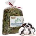 Alegia - mniszek lekarski 300g Alegia