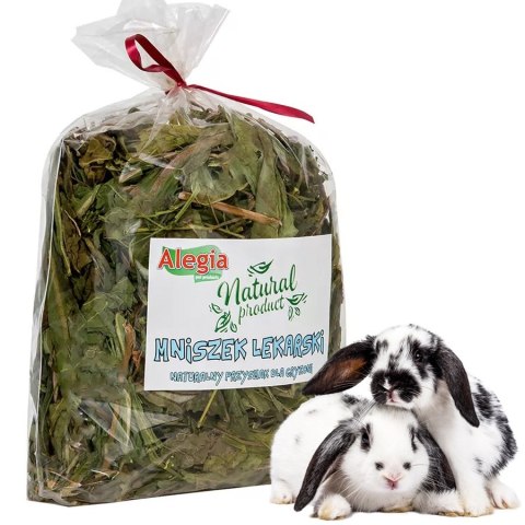 Alegia - mniszek lekarski 300g Alegia