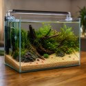 Kruger Meier Amber Glow Quartz 0.8-1.6 mm - Żwirek akwarystyczny 2 kg Kruger Meier
