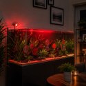 Kruger Meier NightGlow Pro 5W - oświetlenie nocne z timerem Kruger Meier