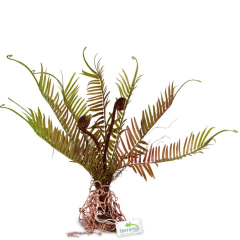 Terrario - Sztuczna roślina do terrarium - Paproć 40x14x41 cm Terrario
