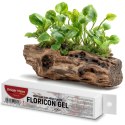 Kruger Meier Floricon Gel 20g - klej do roślin akwariowych Kruger Meier