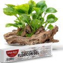 Kruger Meier Floricon Gel 20g - klej do roślin akwariowych Kruger Meier