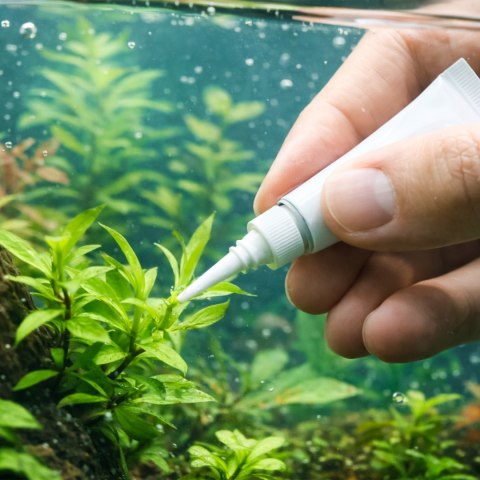 Kruger Meier Floricon Gel 3g - klej do roślin akwariowych Kruger Meier