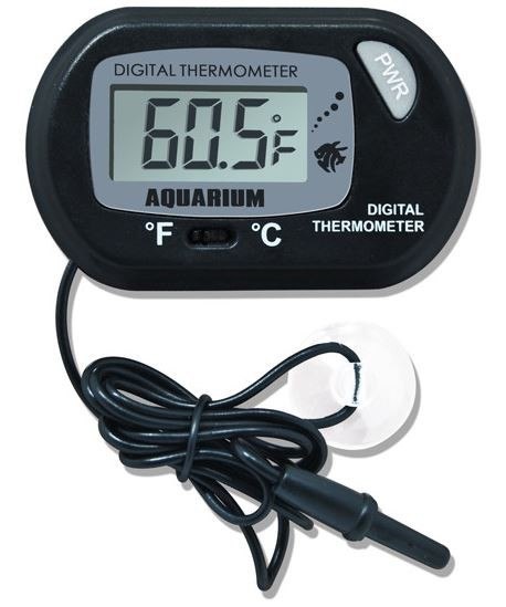 TM-3 termometr LCD z przyssawką oraz sondą Ringder