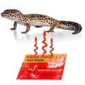 Terrario Aqua Heat Pack 40H 'Gold' - ogrzewacz do rąk i transportu zwierząt
