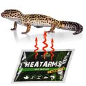 Terrario Terrario Heatarms Heat Pack 40H - ogrzewacz transportowy