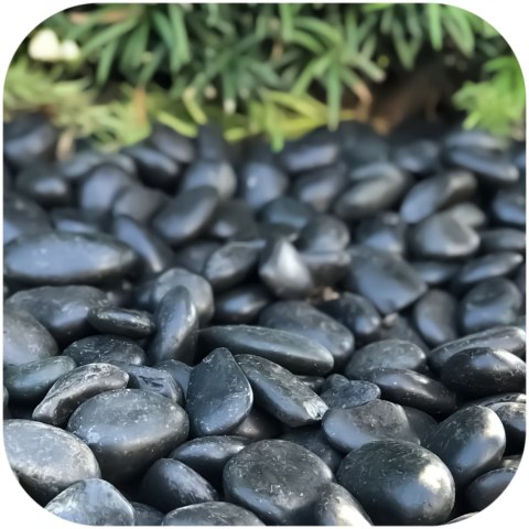 Eco Plant Devil Stones 1kg - kamienie czarne otoczak 20-50mm Eco Plant