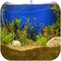 Eco Plant Natural River 1kg - żwir rzeczny 1-3mm Eco Plant