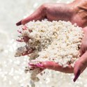 Eco Plant Eco Plant Pure River 1kg - żwirek jasny 1-3mm