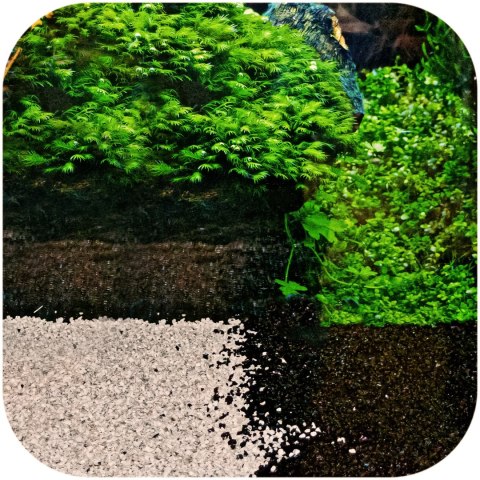 Eco Plant Eco Plant Pure River 1kg - żwirek jasny 1-3mm