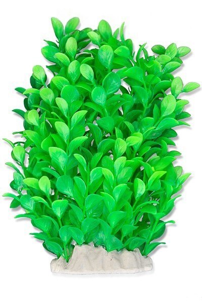Happet Happet Aquatic Plant - zielona roślinka sztuczna 20cm