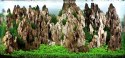 Kamienie Dragon Stone Inny