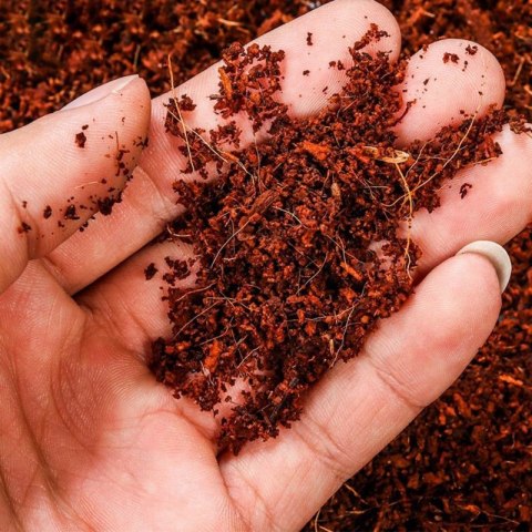 Komodo Komodo Rainforest Substrate 6l - podłoże tropikalne