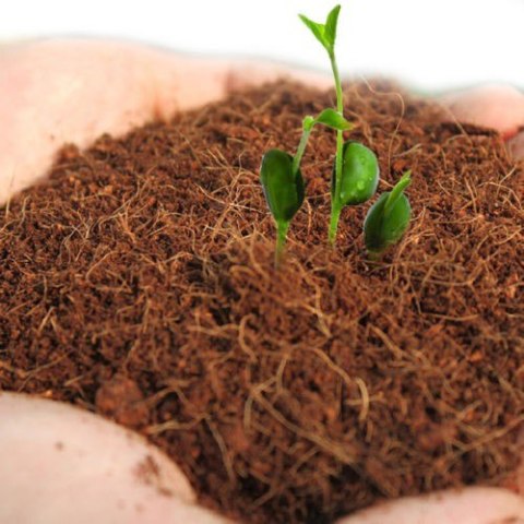 Komodo Komodo Tropical Terrain Brick M - podłoże z włókien kokosa 4l