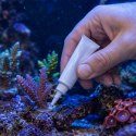 Kruger Meier Kruger Meier Reeficon Gel 20g - klej do koralowców