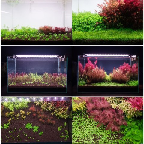 Neo Soil Plant No CO2 - podłoże do akwarium roślinnego 3l NEO MEDIA