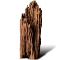 Philippines Classic Driftwood - drzewo mangrowca z wody L 30cm - 40cm Terrario