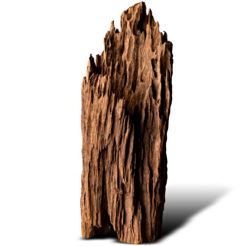 Philippines Classic Driftwood - drzewo mangrowca z wody L 30cm - 40cm Terrario
