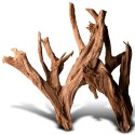 Philippines Classic Driftwood - drzewo mangrowca z wody L 30cm - 40cm Terrario