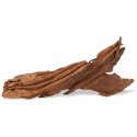 Philippines Classic Driftwood - drzewo mangrowca z wody L 30cm - 40cm Terrario