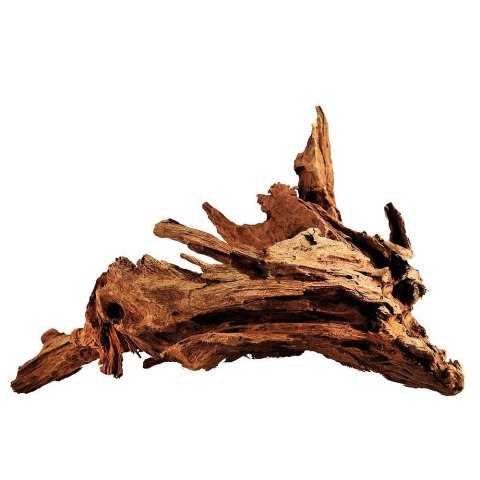 Philippines Classic Driftwood - drzewo mangrowca z wody L 30cm - 40cm Terrario