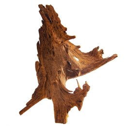 Terrario Philippines Classic Driftwood - drzewo mangrowca z wody XL 40cm - 50cm