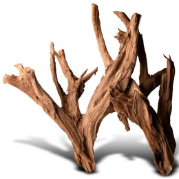Terrario Philippines Classic Driftwood - drzewo mangrowca z wody XL 40cm - 50cm