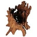 Philippines Classic Driftwood - drzewo mangrowca z wody XL 40cm - 50cm Terrario