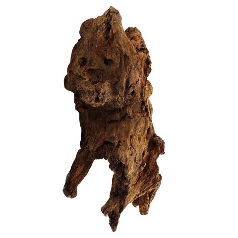 Philippines Classic Driftwood - drzewo mangrowca z wody XL 40cm - 50cm Terrario
