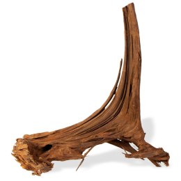 Terrario Philippines Classic Driftwood - drzewo mangrowca z wody M 25cm - 30cm