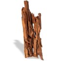 Philippines Classic Driftwood - drzewo mangrowca z wody M 25cm - 30cm Terrario
