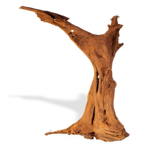 Philippines Classic Driftwood - drzewo mangrowca z wody M 25cm - 30cm Terrario