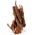 Philippines Classic Driftwood - drzewo mangrowca z wody M 25cm - 30cm Terrario