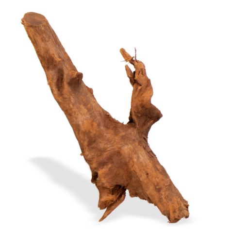 Philippines Classic Driftwood - drzewo mangrowca z wody M 25cm - 30cm Terrario