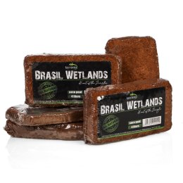 Terrario Terrario Brasil Wetlands 4l - podłoże z włókien kokosa