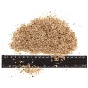 Terrario Terrario Endau Park Soil Small 5l - wermikulit drobny