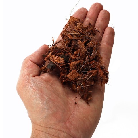 Terrario Terrario Madidi Rainforest 5l 500g - drobne zrębki kokosa
